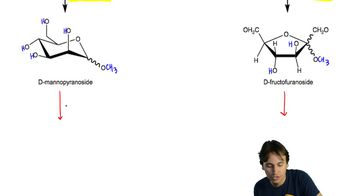 Predict the structure of the glycoside products