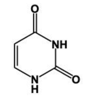 nitrogenouse base structure