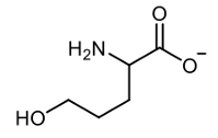 amino acid molecular structure