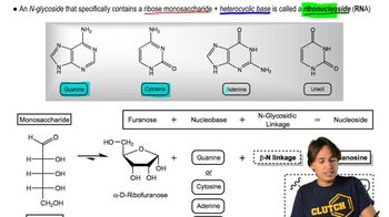 Creating Ribonucleosides