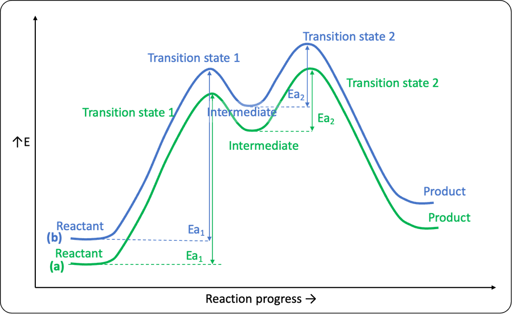 Graph showing reaction coordinate for SN1 reactions (a) and (b) with transition states and energy levels.