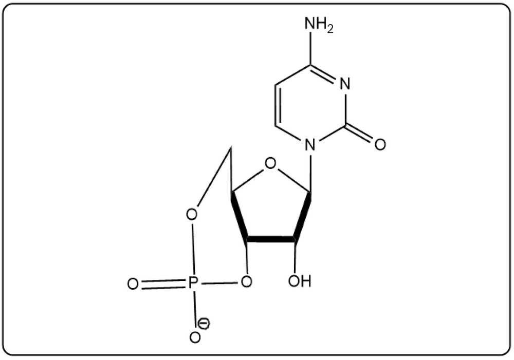 Another representation of cyclic uridine monophosphate highlighting its molecular structure.