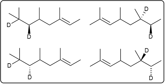 Four possible products of hydrogenation with deuterium in different positions.