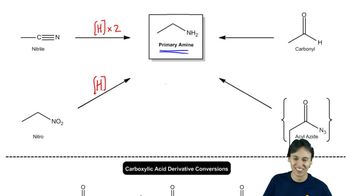 The Primary Amines Flowchart