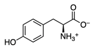 structure of amino acid