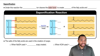 Triacylglycerol Reactions: Hydrolysis Concept 1