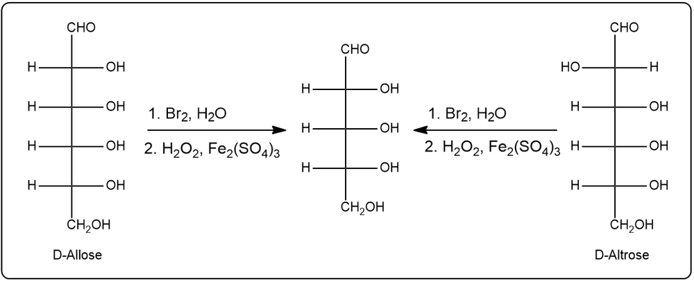 Oxidation of D-Allose and D-Altrose with Br2 and H2O producing D-Ribose.