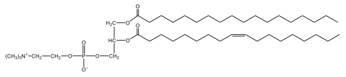 cephalin