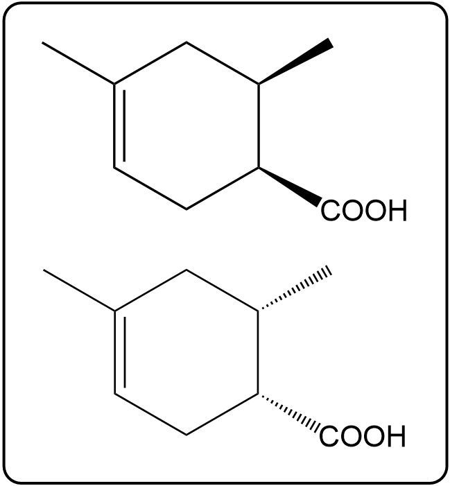 Answer Option C