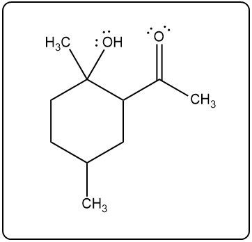 Answer Option B