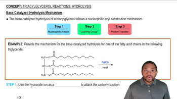 Triacylglycerol Reactions: Hydrolysis Concept 2