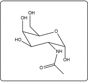 Chair conformation of N-acetylgalactosamine with amino and hydroxyl groups.