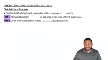 Citric Acid Cycle Structures Concept 1