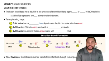 Disulfide Bonds Concept 1