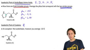 Isoelectric Point of Charged Amino Acids