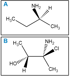 Fischer projections A and B illustrating molecular configurations for bond-line structure transformation.