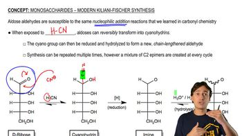 Monosaccharides - Kiliani-Fischer