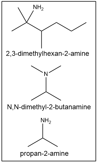 Structures for 2,3-dimethylhexan-2-amine, N,N-dimethyl-2-butanamine, and propan-2-amine.