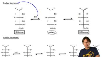 Enolate Mechanism