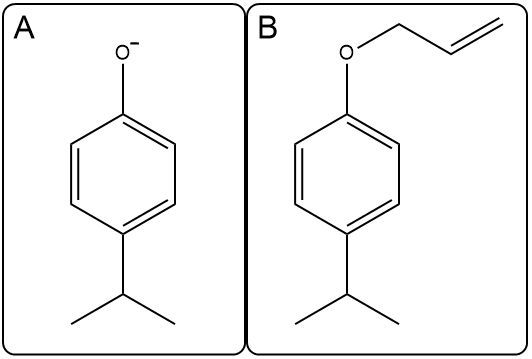 Alternative structures A and B for the Claisen rearrangement, highlighting different configurations.