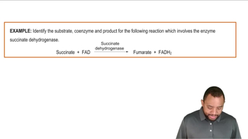 Intro to Coenzymes Example 1