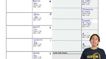 Blank Amino Acid Worksheet