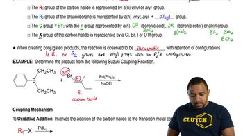 Suzuki Reaction Example 1