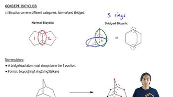 The two types of bicyclic molecules