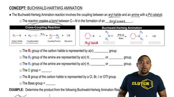 Buchwald-Hartwig Amination Reaction