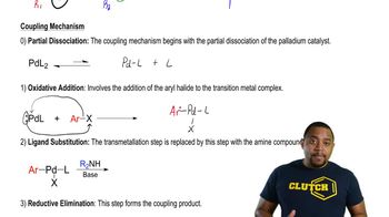 Buchwald-Hartwig Amination Reaction