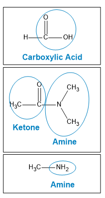 Structures of carboxylic acid, ketone, and amine with labels.