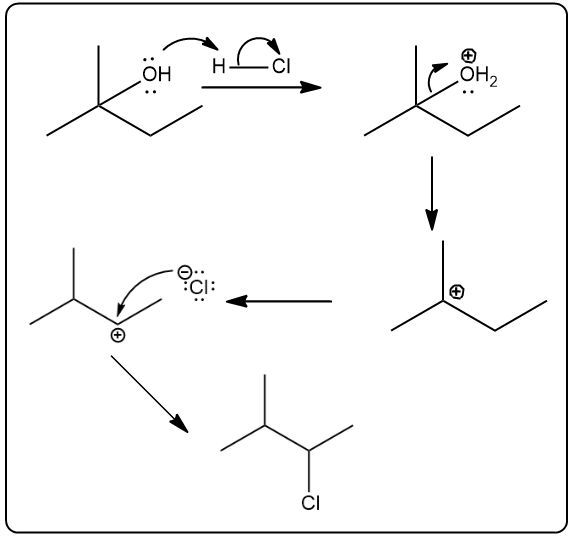 Answer Option D