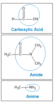 Structures of carboxylic acid, amide, and amine with labels.