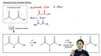 General Mechanism