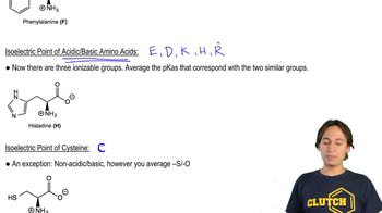 Isoelectric Point of Non-Charged Amino Acids