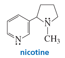Chemical structure of nicotine, highlighting nitrogen atoms and lone pairs in the molecular diagram.