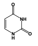 nitrogenouse base structure