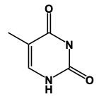 nitrogenouse base structure