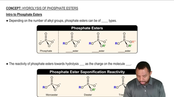 Hydrolysis of Phosphate Esters Concept 1