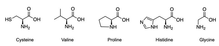 structures of cystein, valine, proline, histidine, glycine