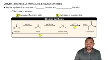 Synthesis of Amino Acids: Strecker Synthesis Concept 1