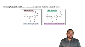 Naming Nucleosides and Nucleotides Concept 2