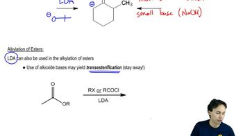 Enolates of Esters