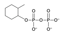 final product structure