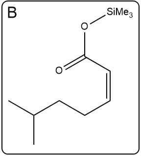 Alternative representation of structure B in the Ireland-Claisen reaction.