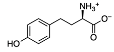 structure of amino acid