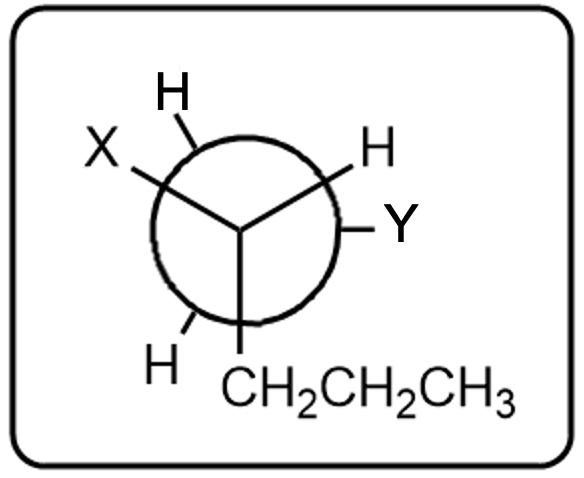 Another view of the initial Newman projection highlighting substituents Y and X.