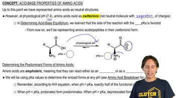 Why Amino Acids Exist as Zwitterions