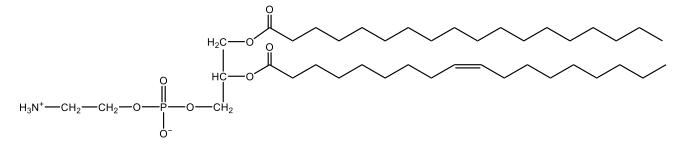 cephalin