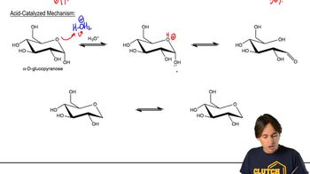 Mechanism